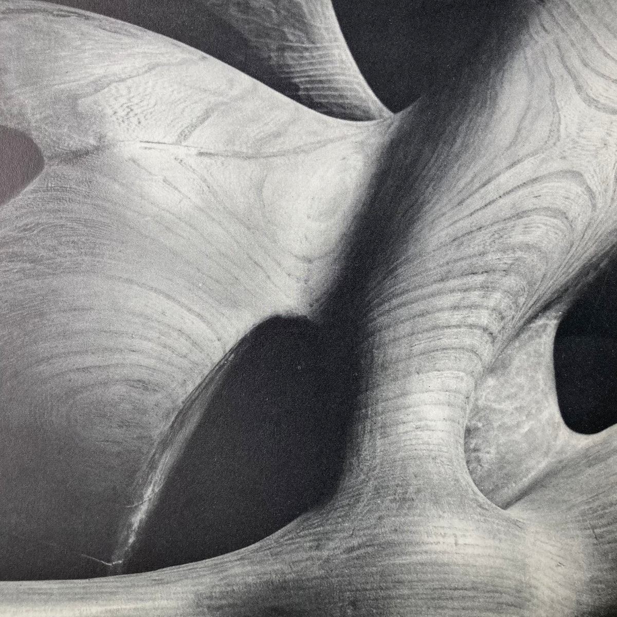 1960s Henry Moore Mounted Print ~ 11 x 14"