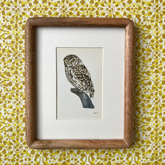 1960s Little Owl Mounted Print ~ 8 x 10"