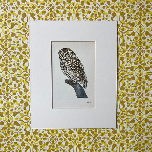1960s Little Owl Mounted Print ~ 8 x 10"
