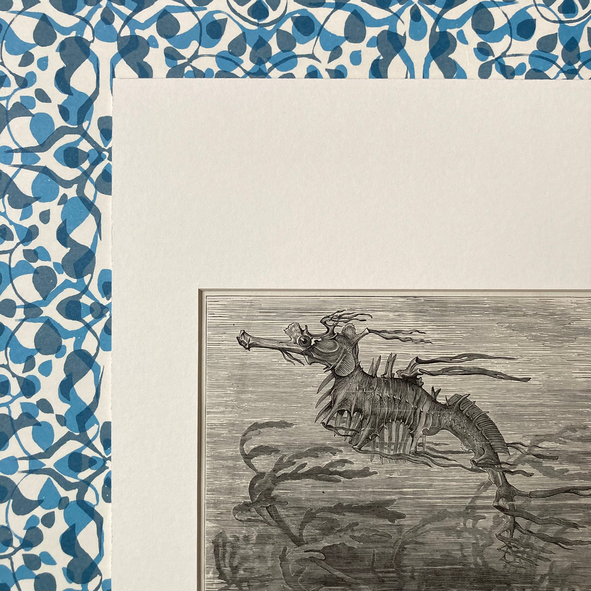 1880s Seadragon Mounted Print ~ 8 x 10"