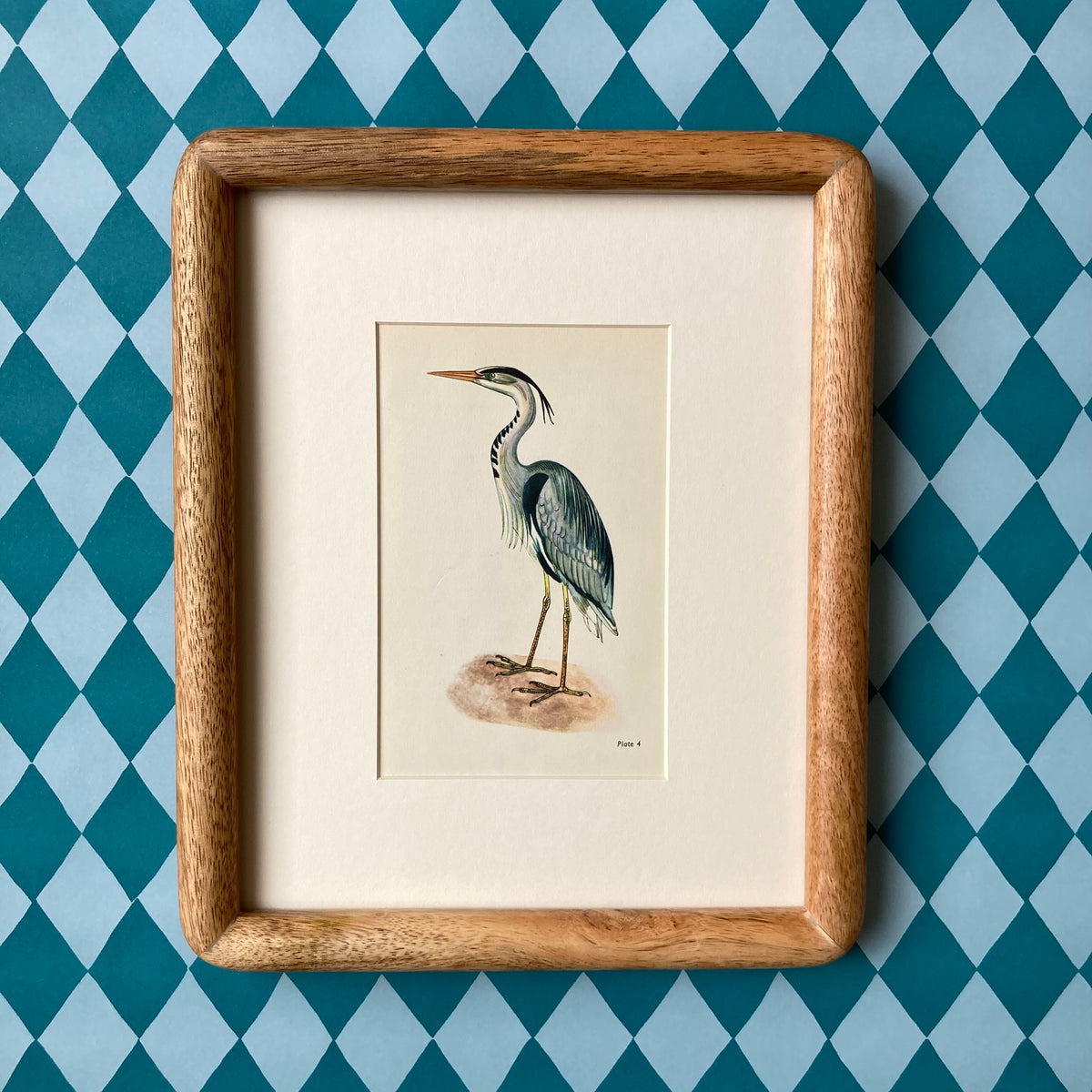 1960s Heron Mounted Print ~ 8 x 10"