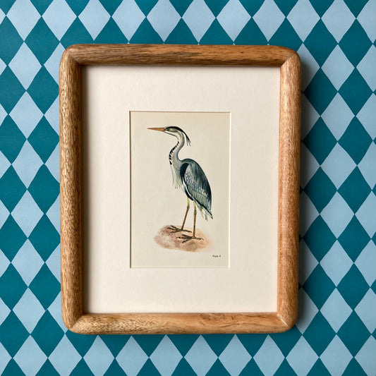 1960s Heron Mounted Print ~ 8 x 10"