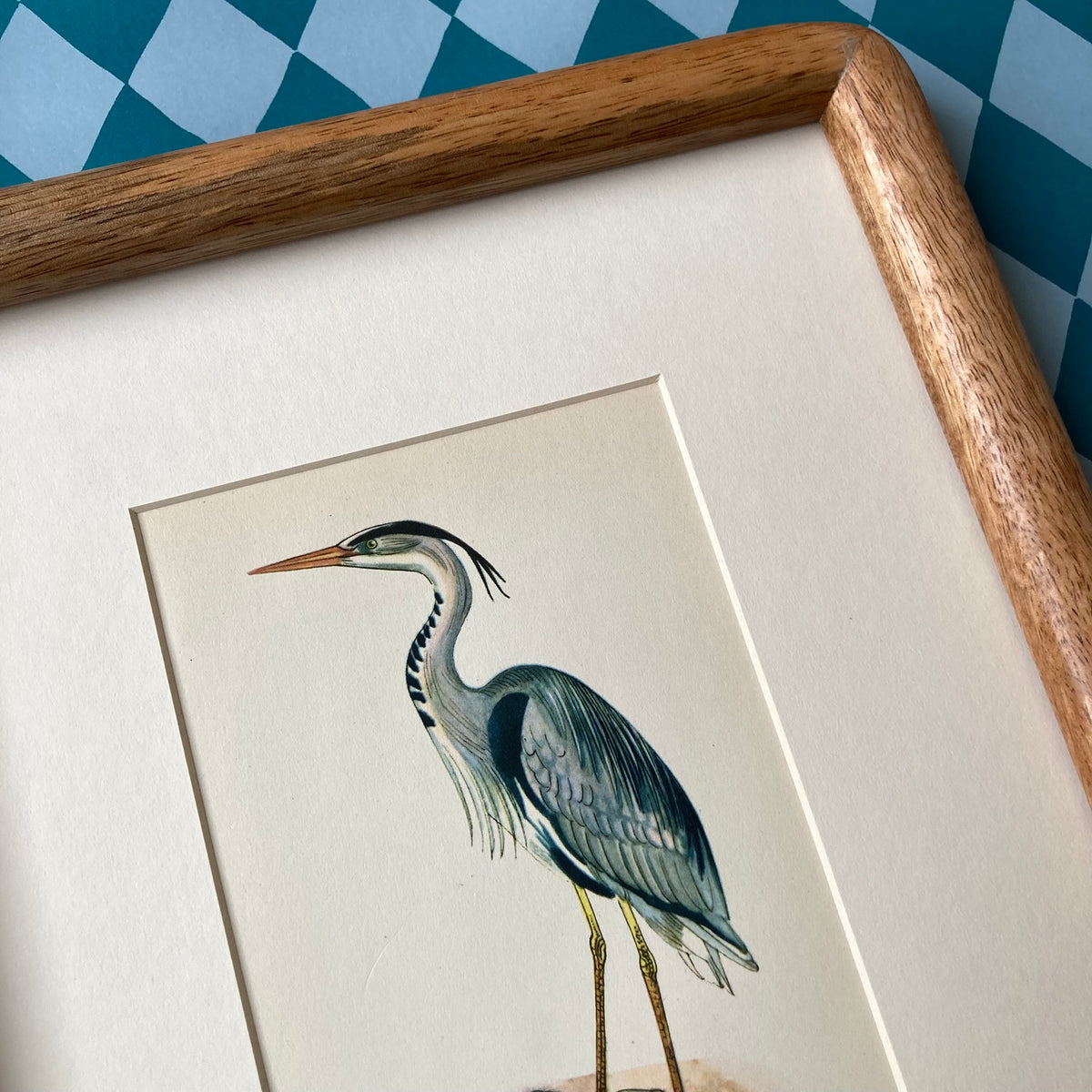 1960s Heron Mounted Print ~ 8 x 10"