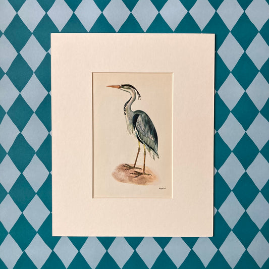 1960s Heron Mounted Print ~ 8 x 10"