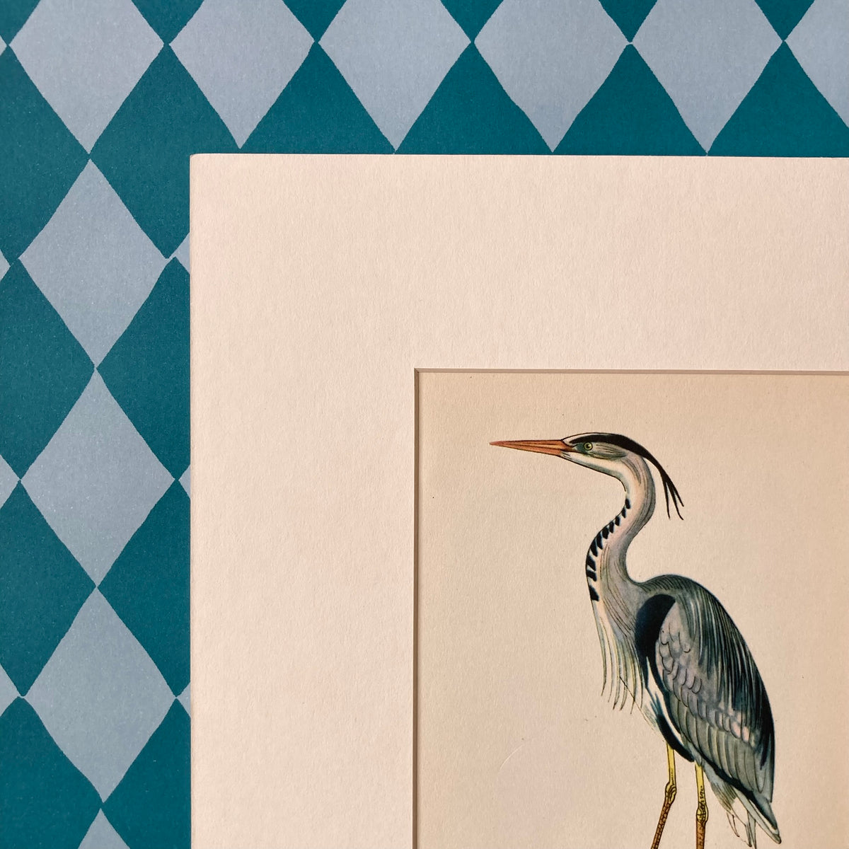 1960s Heron Mounted Print ~ 8 x 10"