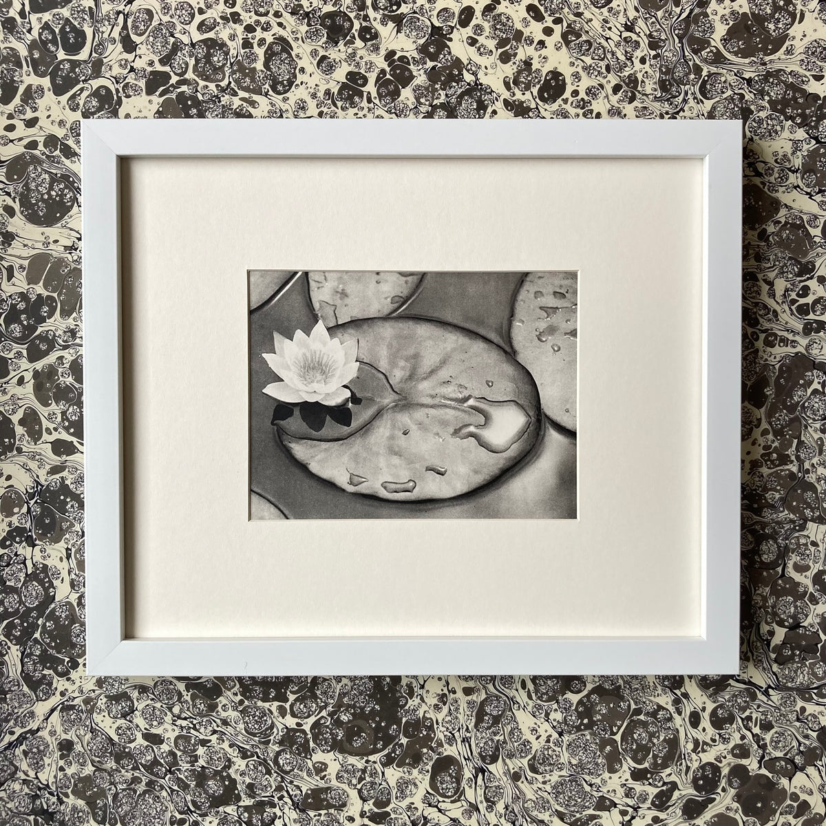 1960s Monochrome Lily Pond Mounted Print ~ 10 x 12"