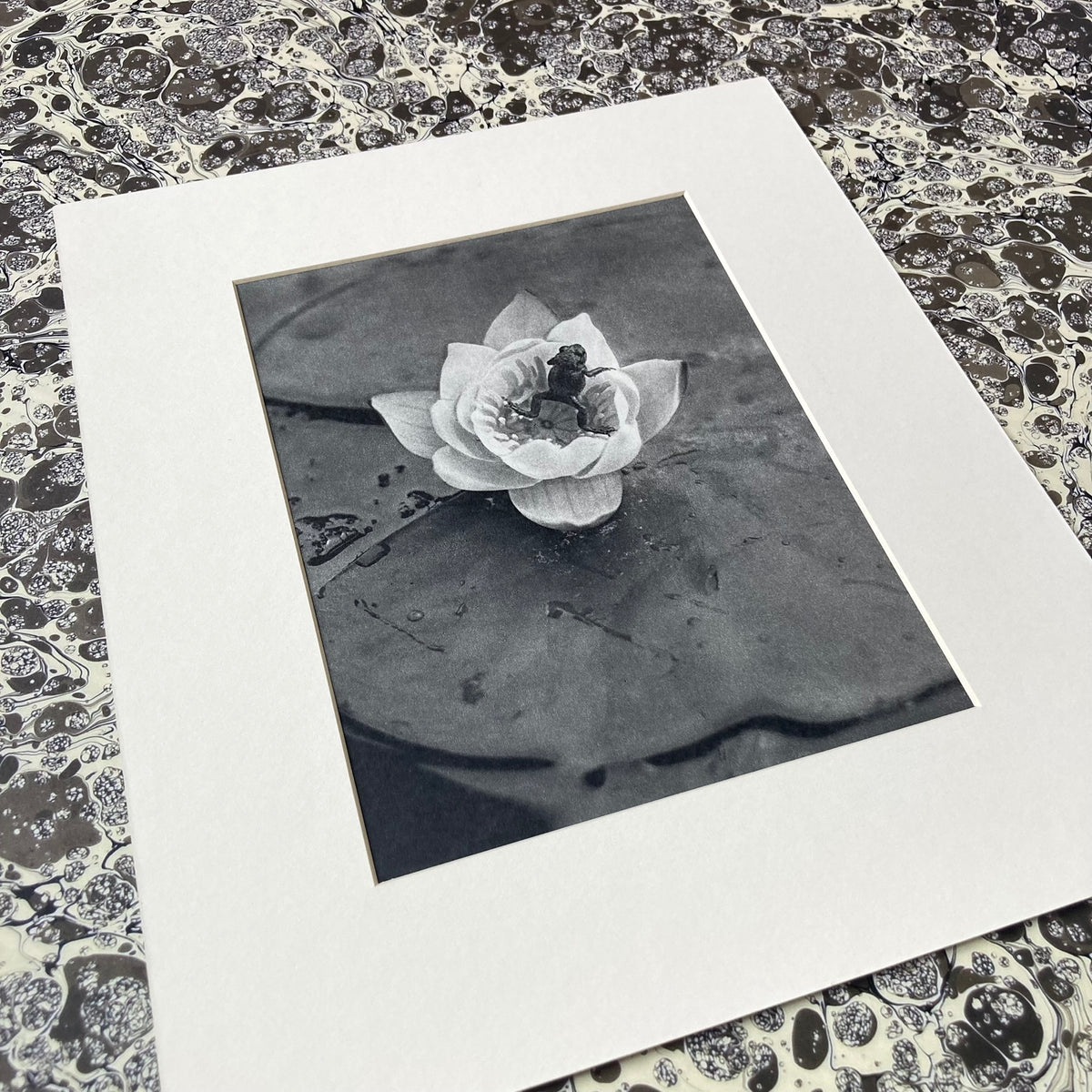 1960s Monochrome Frog on a Lily Pad Mounted Print ~ 10 x 12"