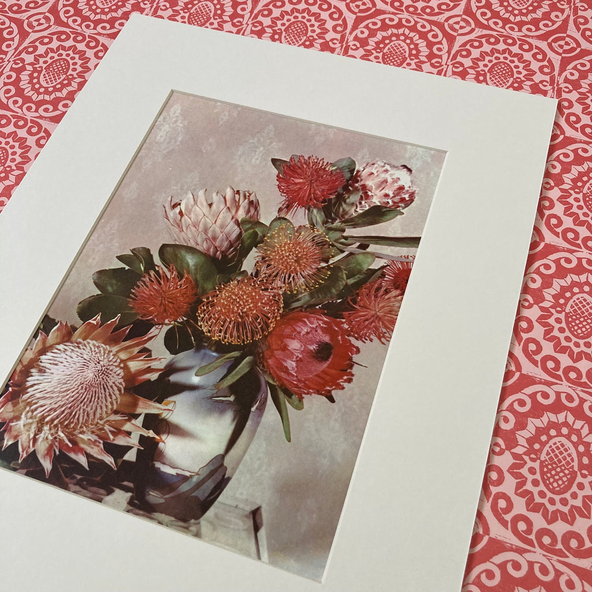 1960s Pink Protea Mounted Print ~ 11 x 14"