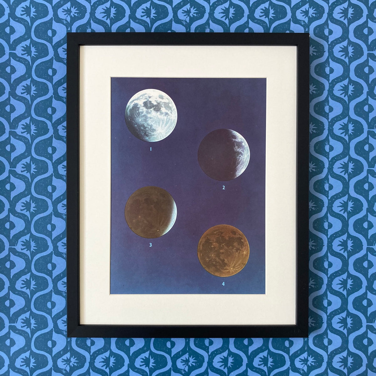 1960s Moon Phase Mounted Print ~ 11 x 14"