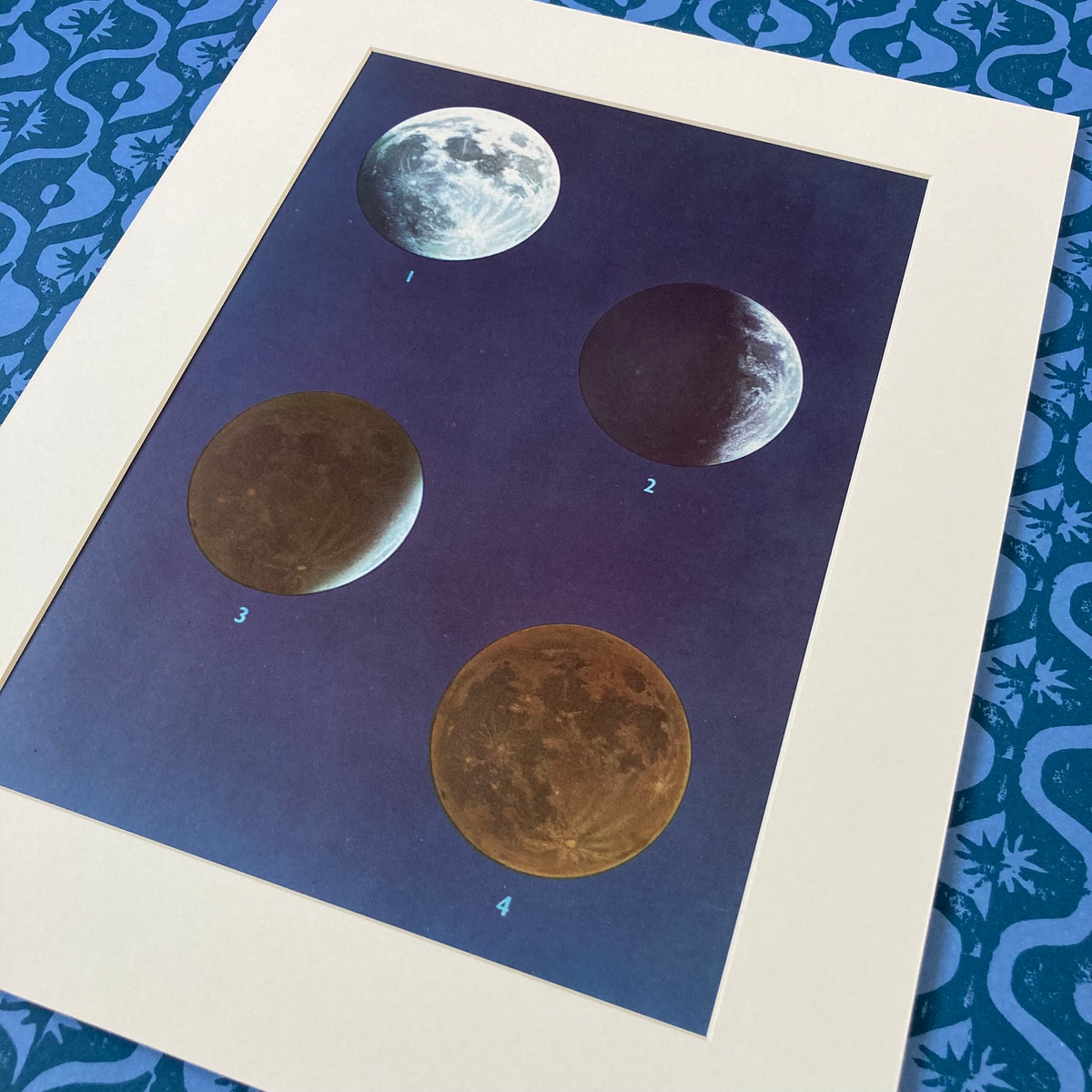 1960s Moon Phase Mounted Print ~ 11 x 14"