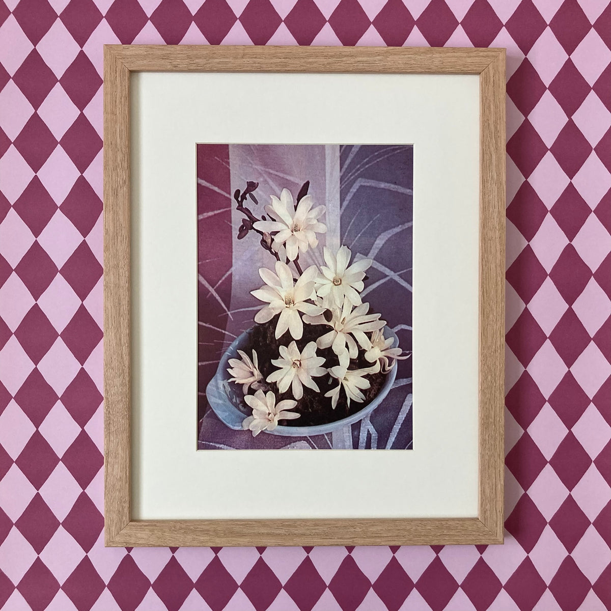 1960s White Magnolia Mounted Print ~ 11 x 14"