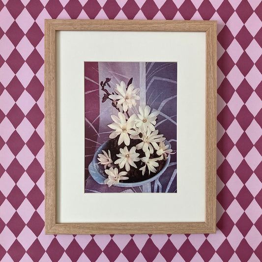 1960s White Magnolia Mounted Print ~ 11 x 14"