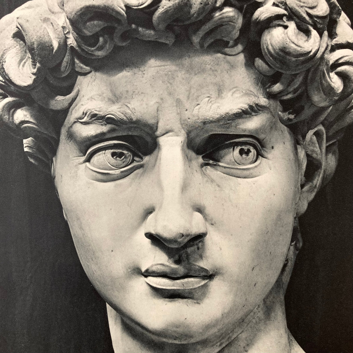 1960s Michelangelo's David Mounted Print ~ 11 x 14"