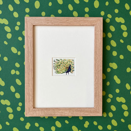 1950s Peacock Mounted Print ~ 8 x 6"