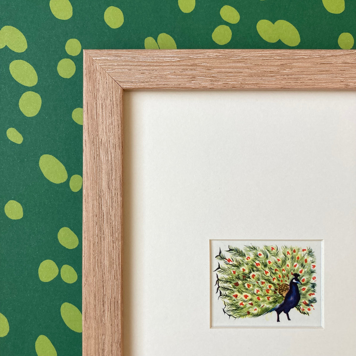 1950s Peacock Mounted Print ~ 8 x 6"