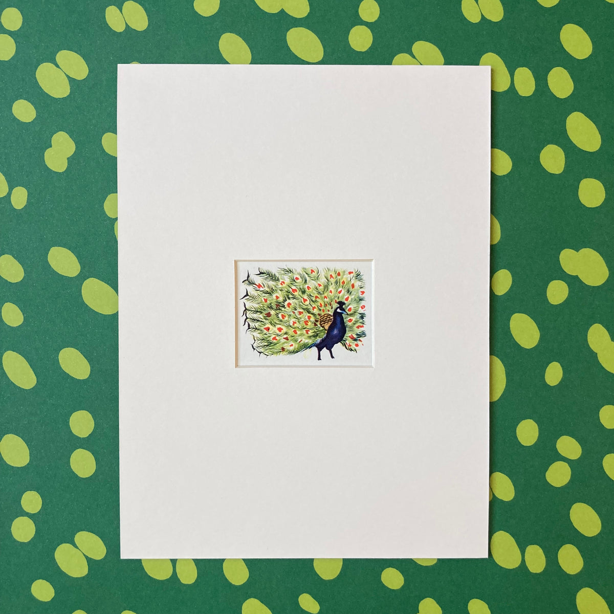 1950s Peacock Mounted Print ~ 8 x 6"