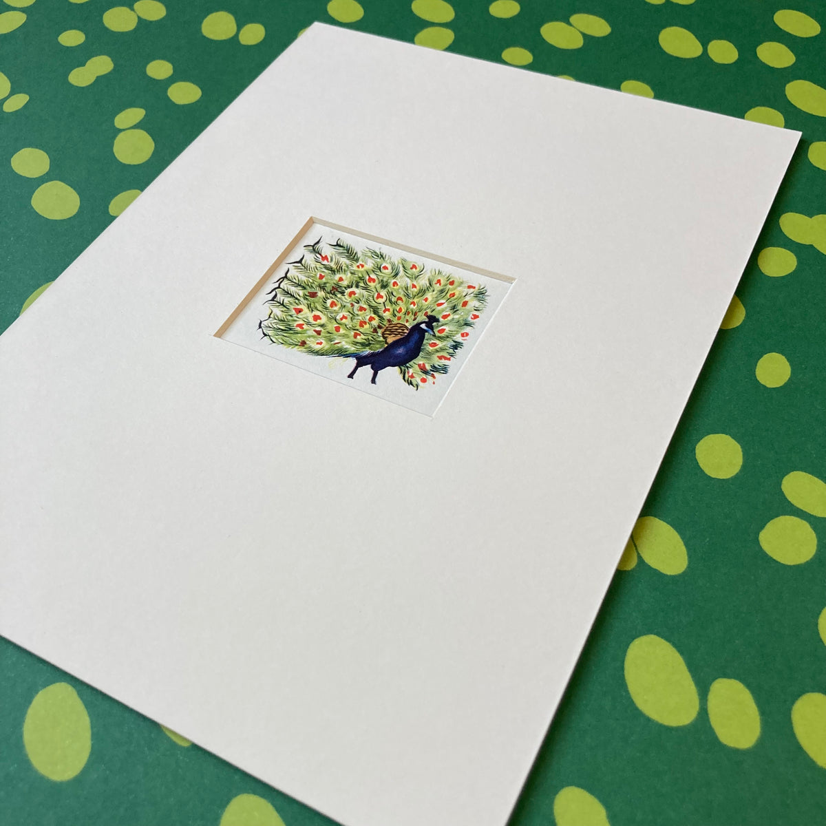 1950s Peacock Mounted Print ~ 8 x 6"