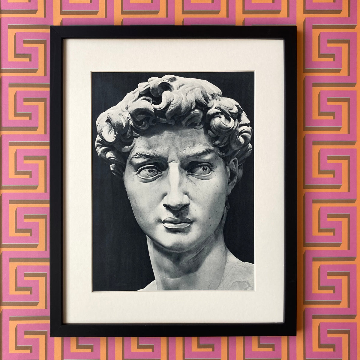 1960s Michelangelo's David Mounted Print ~ 11 x 14"