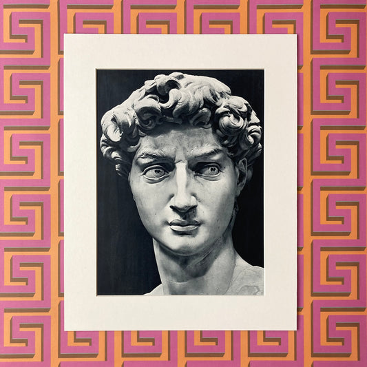 1960s Michelangelo's David Mounted Print ~ 11 x 14"