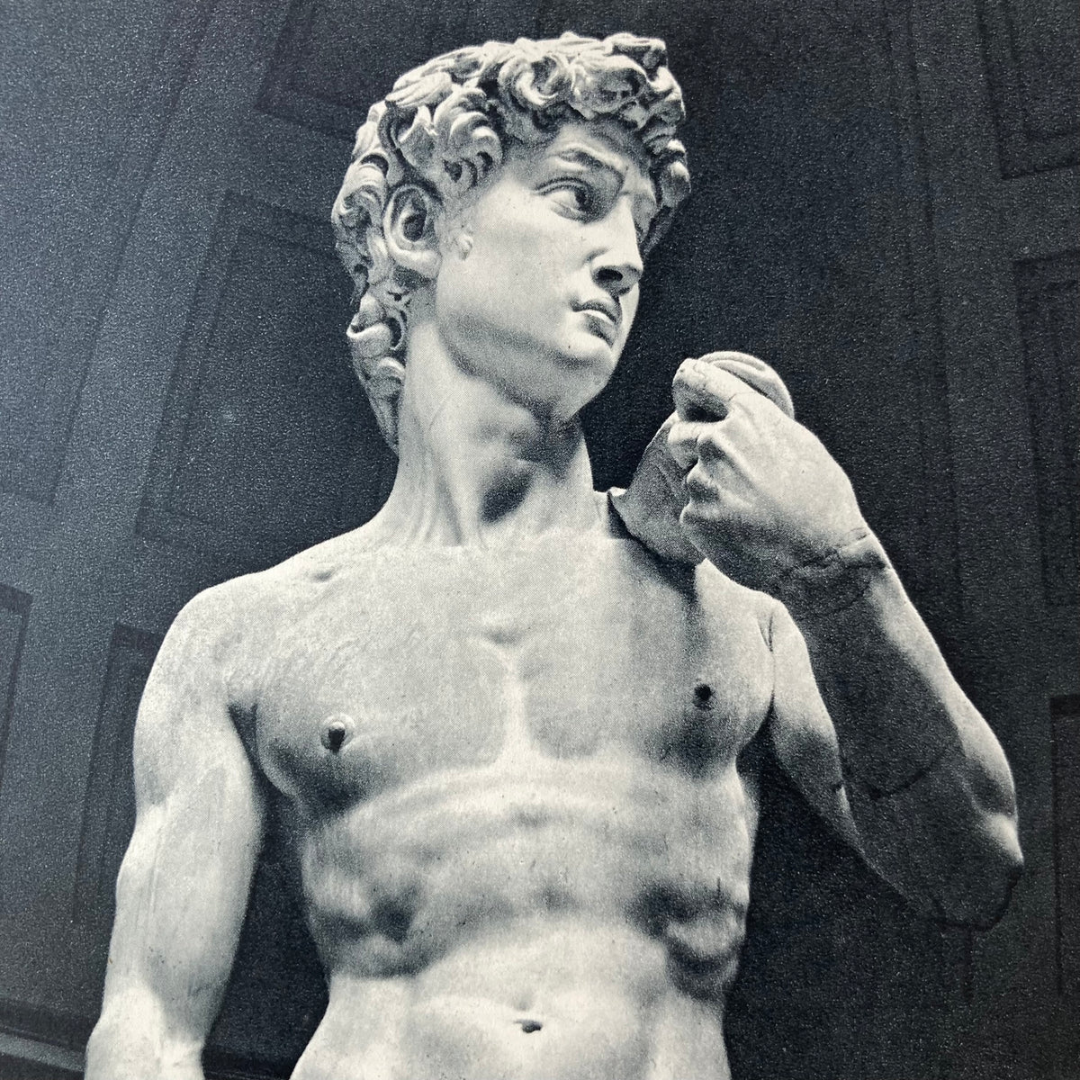 1960s Michelangelo's David Mounted Print ~ 11 x 14"