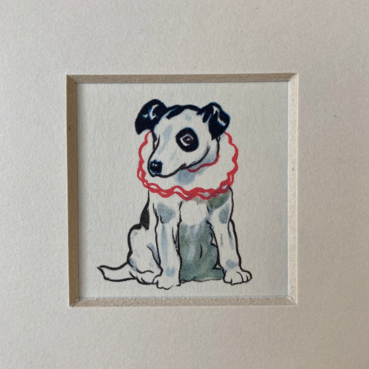 1950s Jack Russell Dog Mounted Print ~ 8 x 6"